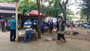 IMG-20250607-WA0020